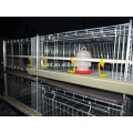 hot sale uganda poultry farm automatic chicken layer cage